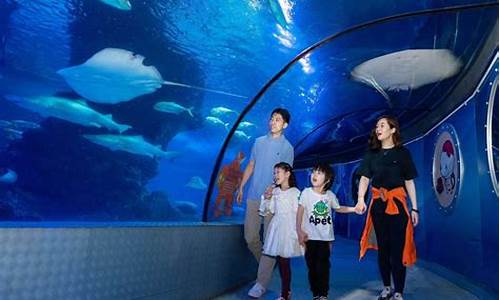 上海水族馆和长风海洋世界哪个好_上海水族